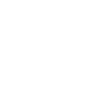 Wordpress-Design-Icon